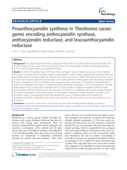 Proanthocyanidin Synthesis in Theobroma Cacao: Genes Encoding