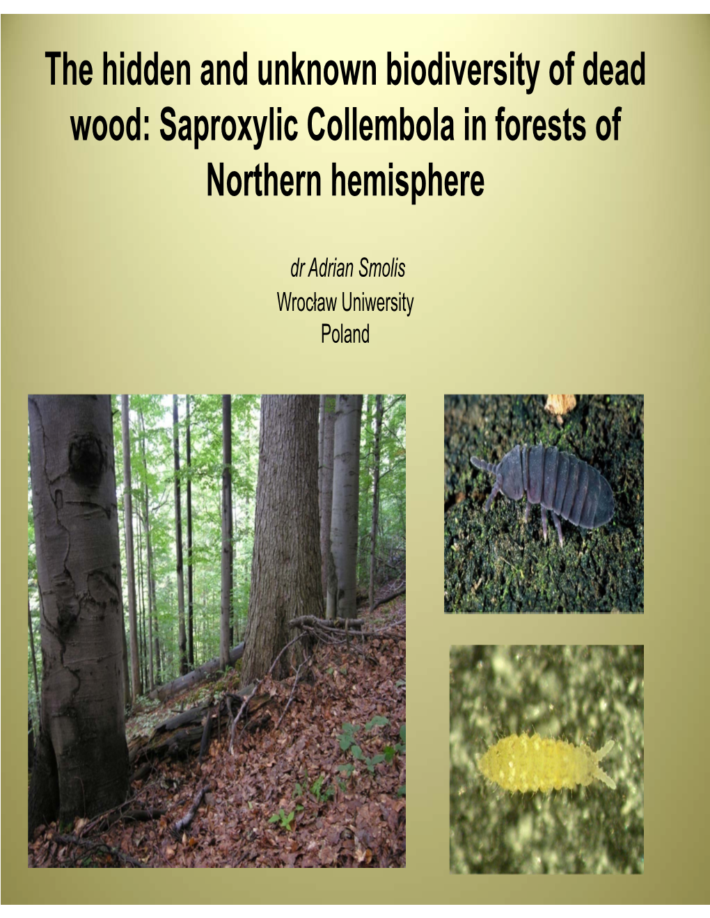 Saproxylic Collembola in Forests of Northern Hemisphere