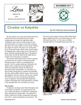 Cicadas Vs Katydids by W.D