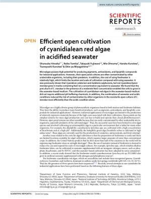 Efficient Open Cultivation of Cyanidialean Red Algae in Acidified