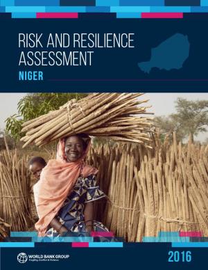 Risk and Resilience Assessment Niger