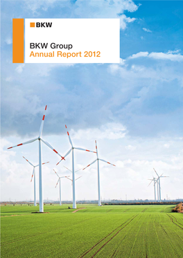 BKW Group Annual Report 2012 the BKW Group Is One of Switzerland’S Largest Energy Companies
