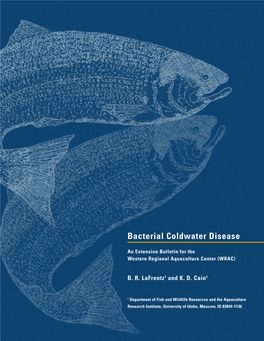 Bacterial Cold-Water Disease in Coho Salmon, Chinook Salmon, and Rainbow Trout