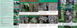 Lichens of Atlantic Woodlands