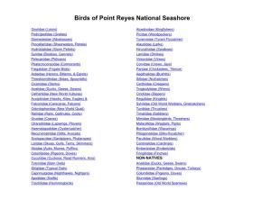 Point Reyes National Seashore Bird List