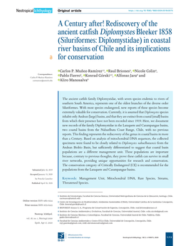 (Siluriformes: Diplomystidae) in Coastal River Basins of Chile and Its Implications for Conservation