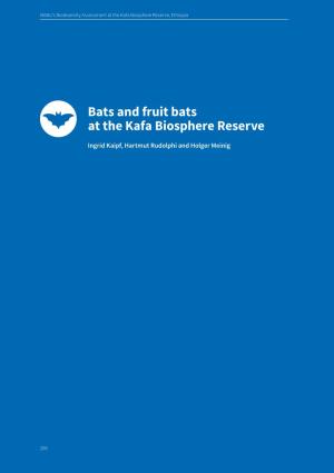 Bats and Fruit Bats at the Kafa Biosphere Reserve