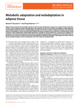 Metabolic Adaptation and Maladaptation in Adipose Tissue