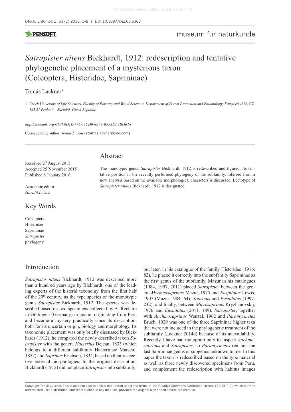 Satrapister Nitens Bickhardt, 1912: Redescription and Tentative Phylogenetic Placement of a Mysterious Taxon (Coleoptera, Histeridae, Saprininae)