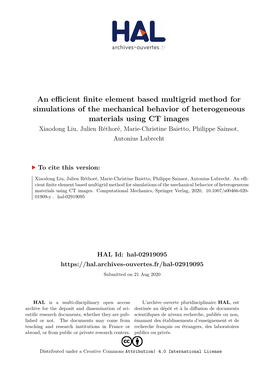 An Efficient Finite Element Based Multigrid Method for Simulations Of