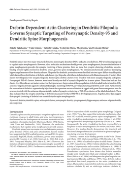 Drebrin-Dependent Actin Clustering in Dendritic Filopodia Governs Synaptic Targeting of Postsynaptic Density-95 and Dendritic Spine Morphogenesis
