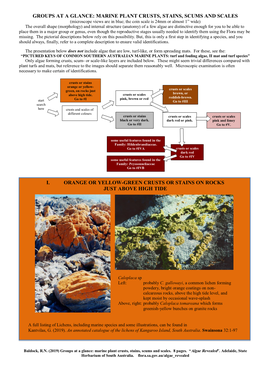 Groups at a Glance: Marine Plant Crusts, Stains, Scums and Scales