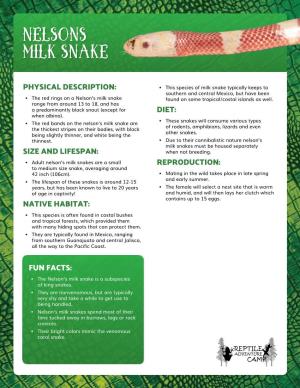 Nelsons Milk Snake