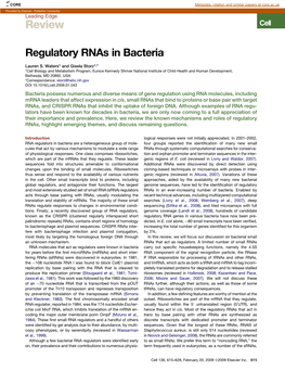 Regulatory Rnas in Bacteria