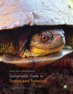 Sustainable Trade in Turtles and Tortoises