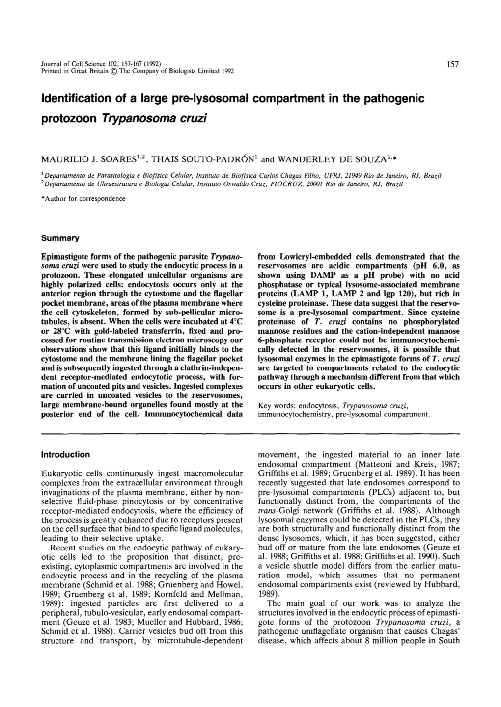 Identification of a Large Pre-Lysosomal Compartment in the Pathogenic Protozoon Trypanosoma Cruzi