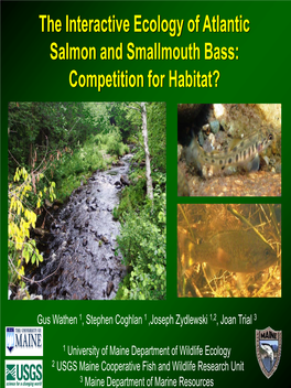 The Interactive Ecology of Atlantic Salmon and Smallmouth Bass: Competition for Habitat?