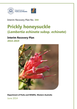 Lambertia Echinata Subsp. Echinata493.22 KB