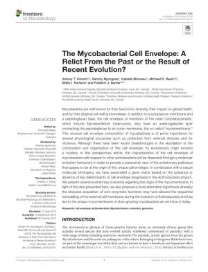 The Mycobacterial Cell Envelope: a Relict from the Past Or the Result of Recent Evolution?