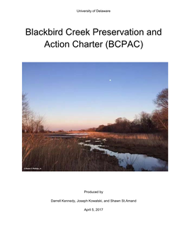 Blackbird Creek Preservation and Action Charter (BCPAC)