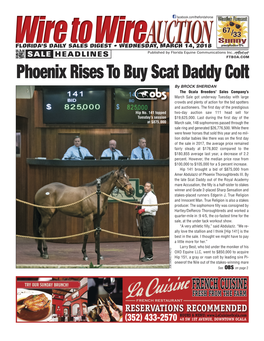 Phoenix Rises to Buy Scat Daddy Colt
