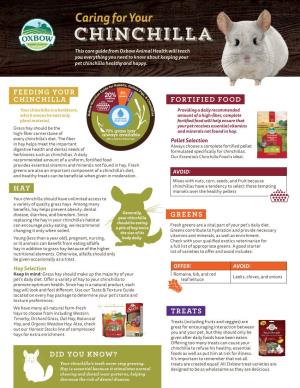 Chinchilla This Care Guide from Oxbow Animal Health Will Teach You Everything You Need to Know About Keeping Your Pet Chinchilla Healthy and Happy