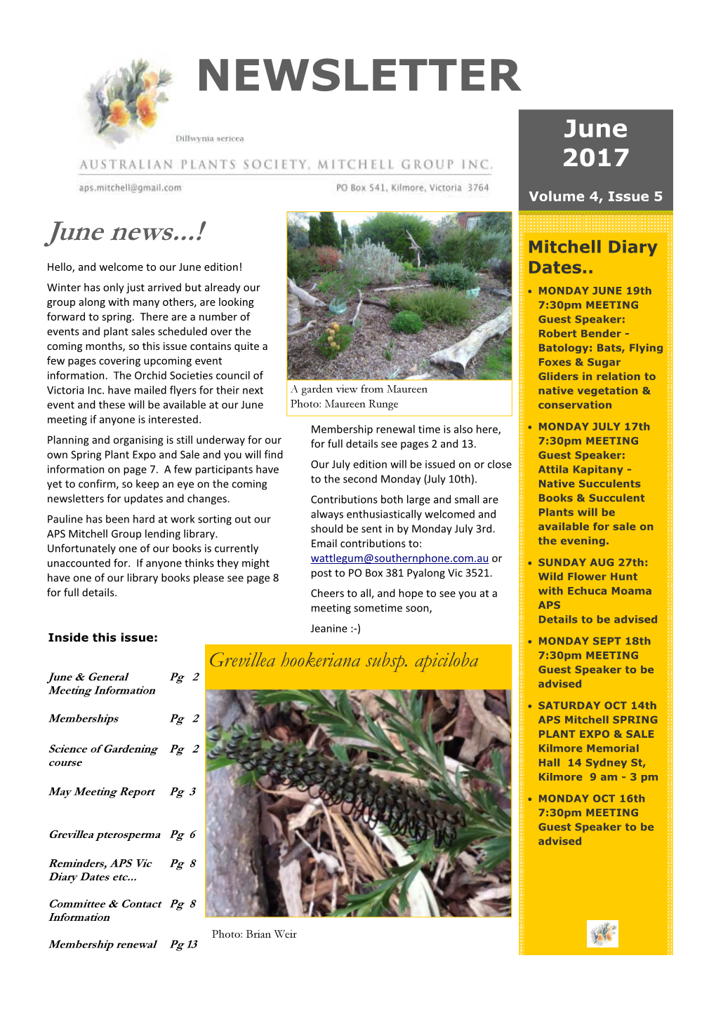 APS Mitchell Newsletter 2017.4.5 June