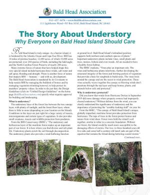 The Story About Understory Why Everyone on Bald Head Island Should Care