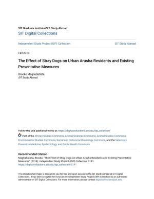 The Effect of Stray Dogs on Urban Arusha Residents and Existing Preventative Measures