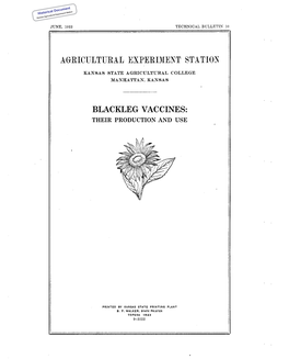 Blackleg Vaccines: Their Production and Use Summary