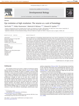 The Neuron As a Unit of Homology