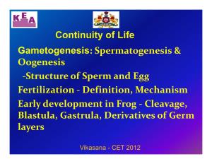 Gametogenesis: Spermatogenesis & Oogenesis -Structure of Sperm and Egg Fertilization