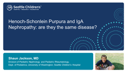 Henoch-Schonlein Purpura and Iga Nephropathy: Are They the Same Disease?