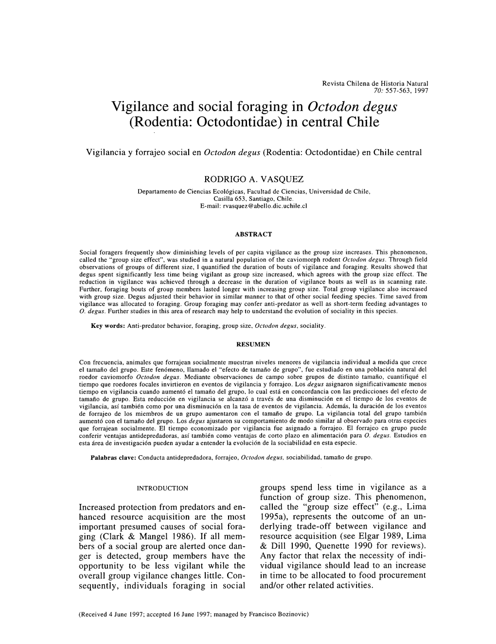 Vigilance and Social Foraging in Octodon Degus (Rodentia: Octodontidae) in Central Chile