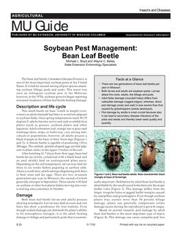 Bean Leaf Beetle Michael L