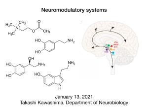 Neuromodulatory Systems