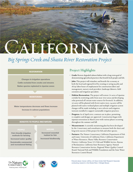 Big Springs Creek and Shasta River Restoration Project