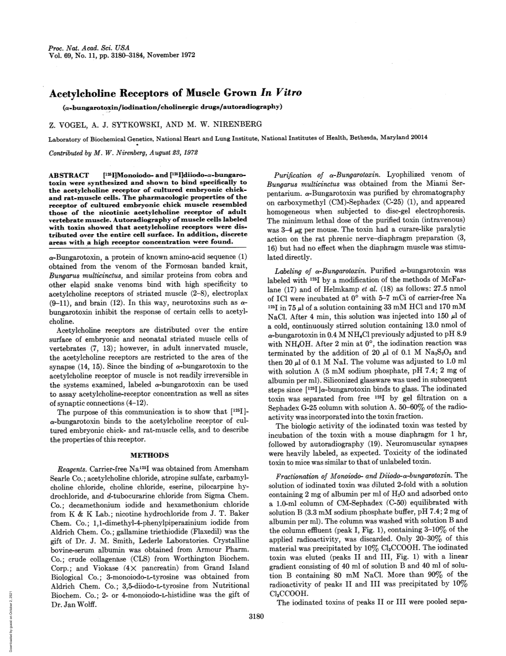 Acetylcholine Receptors of Musclegrown in Vitro