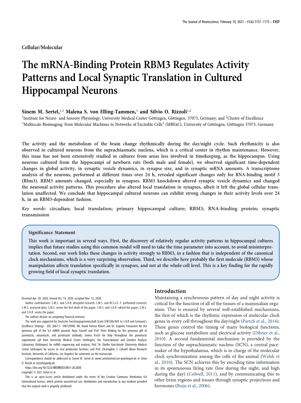 The Mrna-Binding Protein RBM3 Regulates Activity Patterns and Local Synaptic Translation in Cultured Hippocampal Neurons