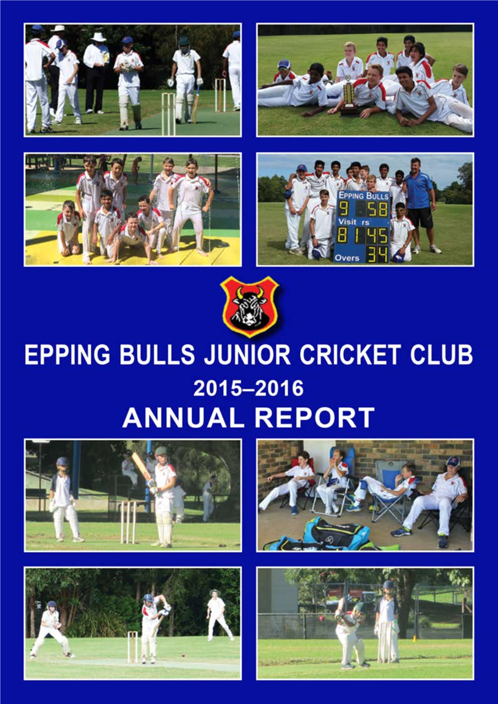 Epping Bulls Junior Cricket Club Treasurer's Report