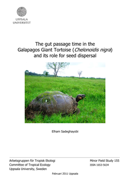 The Gut Passage Time in the Galapagos Giant Tortoise (Chelonoidis Nigra) and Its Role for Seed Dispersal