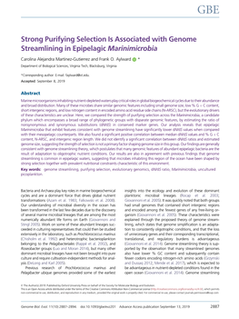 Strong Purifying Selection Is Associated with Genome Streamlining in Epipelagic Marinimicrobia