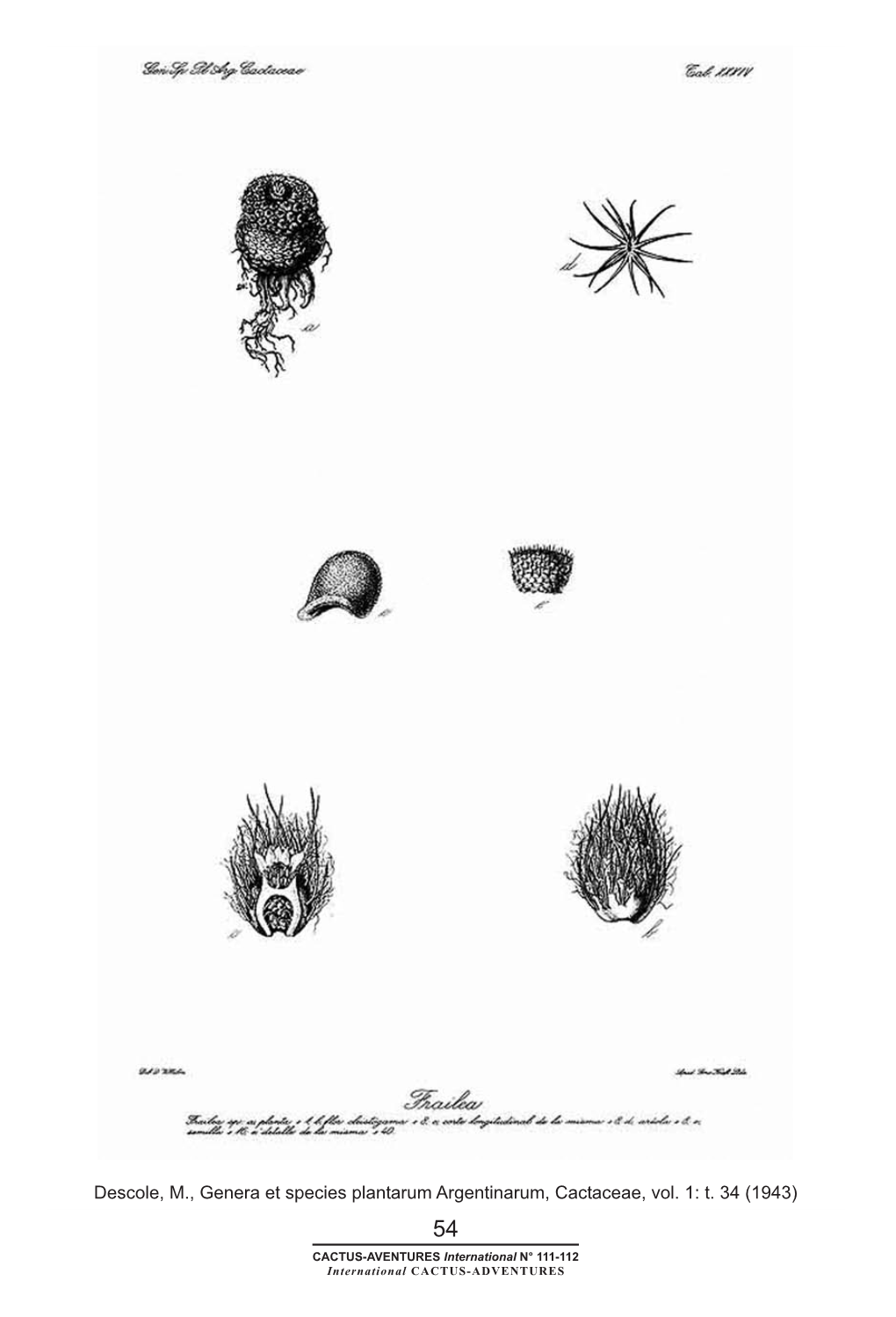 Descole, M., Genera Et Species Plantarum Argentinarum, Cactaceae, Vol