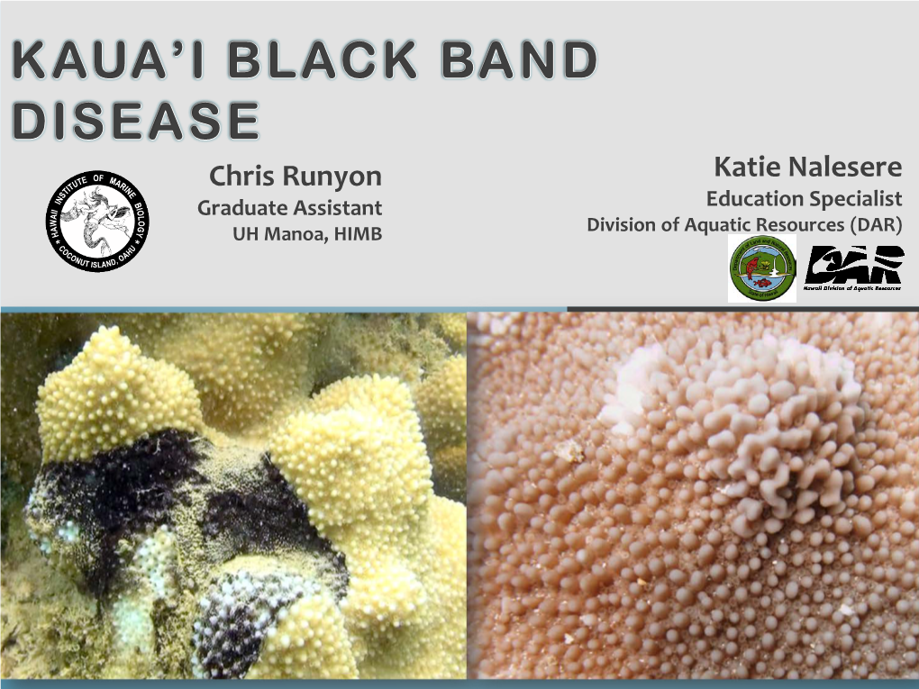 Kaua'i Black Band Disease