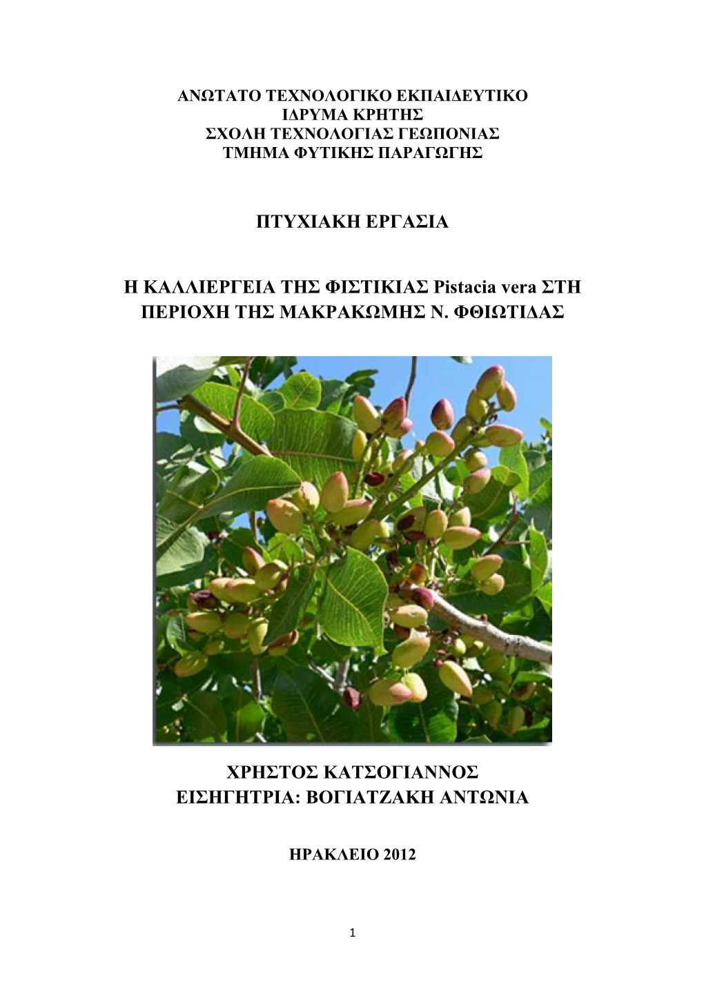 ΠΤΥΧΙΑΚΗ ΕΡΓΑΣΙΑ Η ΚΑΛΛΙΕΡΓΕΙΑ ΤΗΣ ΦΙΣΤΙΚΙΑΣ Pistacia Vera ΣΤΗ