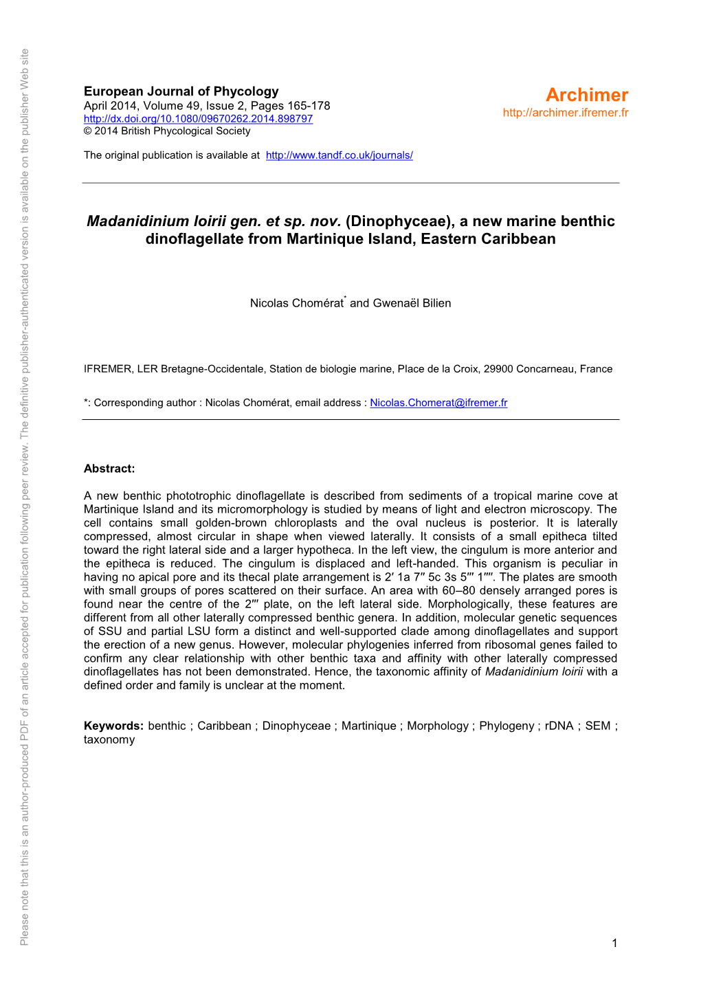 A New Marine Benthic Dinoflagellate from Martinique Island, Eastern