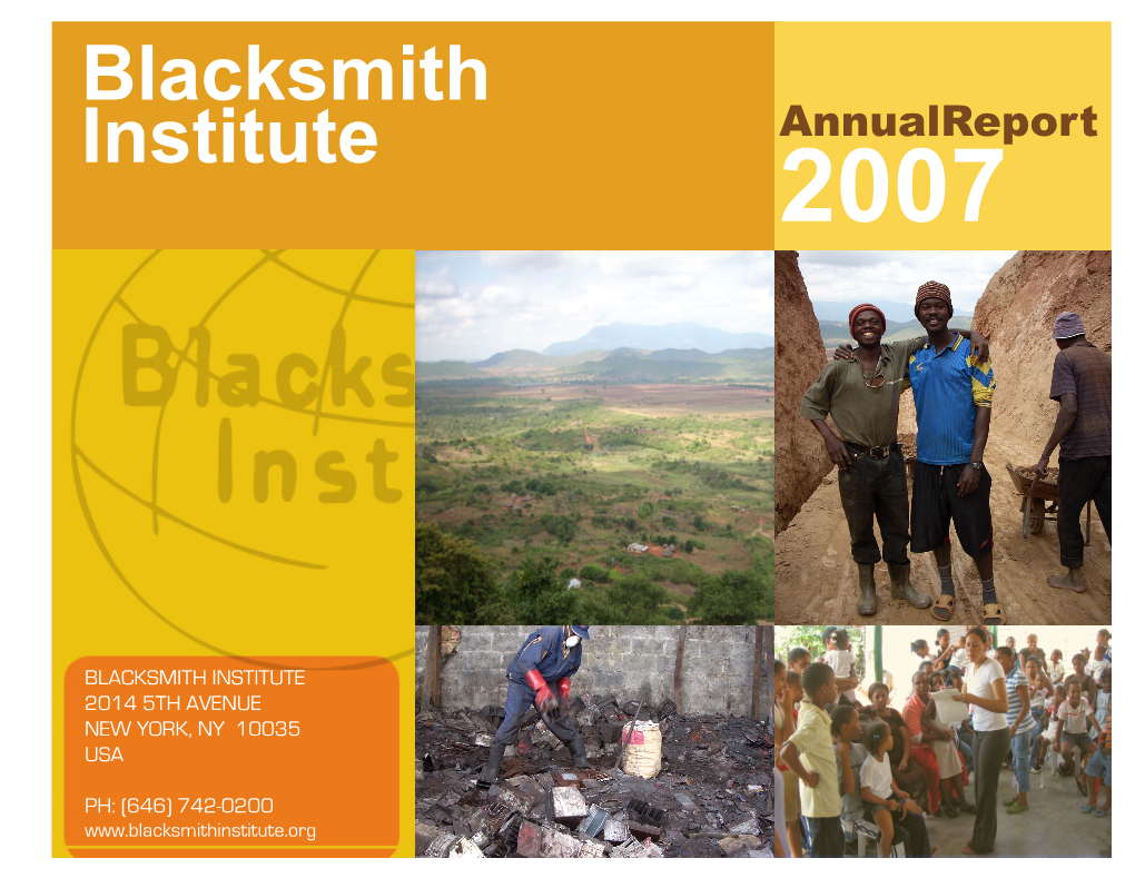 Blacksmith Institute Annualreport 2007