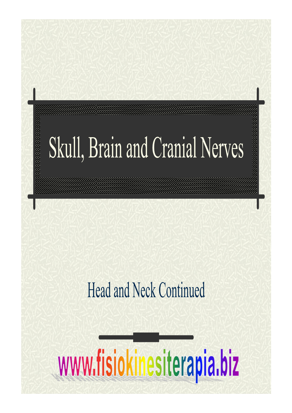 Skull, Brain and Cranial Nerves