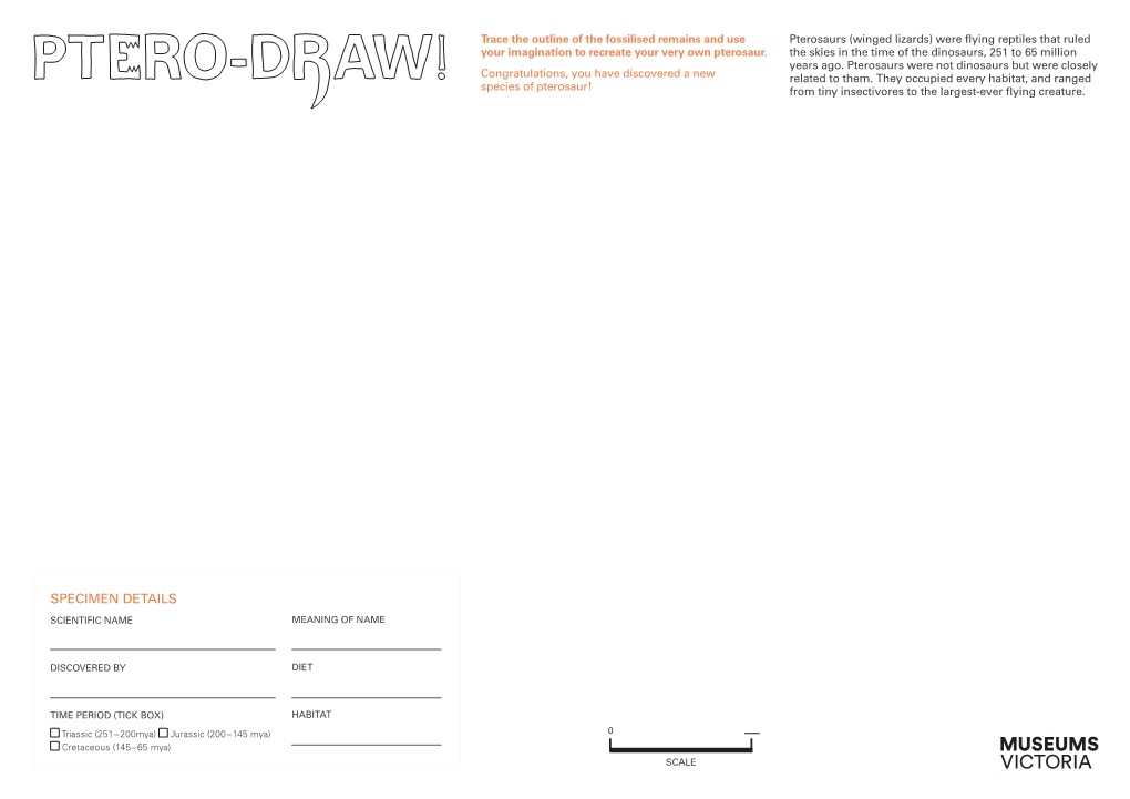 Ptero-Draw Activity Sheets 1.2MB .Pdf File