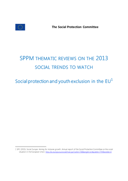 Social Protection and Youth Exclusion in the EU1